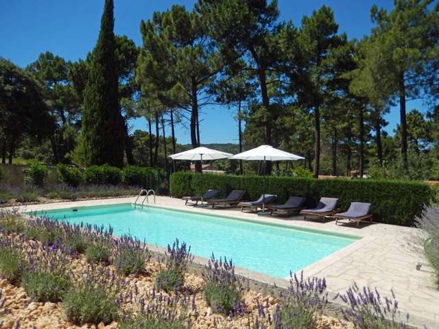 France – Provence –  – Les Lauriers